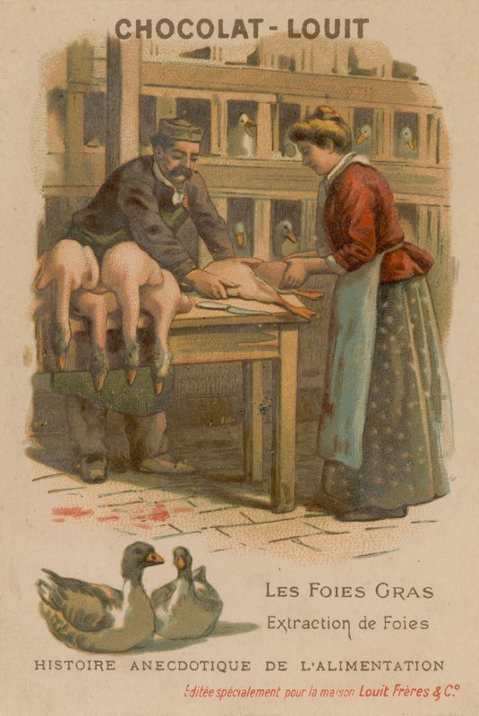 Foie gras af French School
