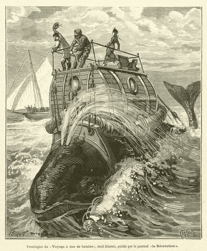 Frontispice of the Voyage på ryggen af ​​en hval, en illustreret historie, udgivet af avisen La Recreation (gravering) af French School