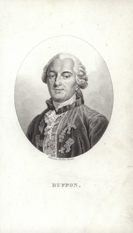 Georges-Louis Leclerc af French School