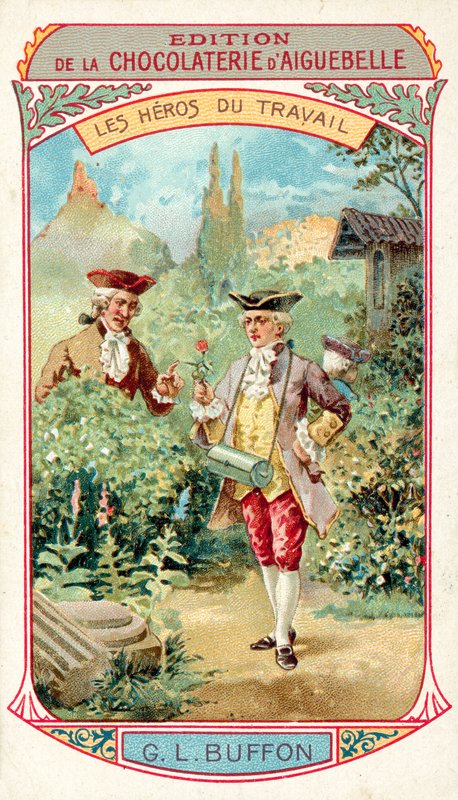 Georges-Louis Leclerc, Comte de Buffon, fransk naturforsker (chromolitho) af French School