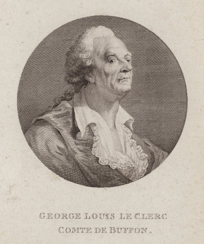 Georges-Louis Leclerc, Comte de Buffon, fransk naturforsker (gravering) af French School