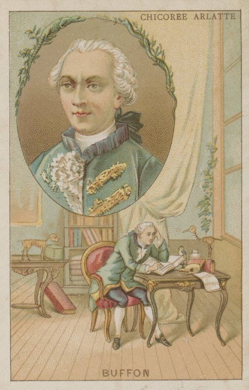 Georges-Louis Leclerc, greve af Buffon, fransk naturforsker af French School