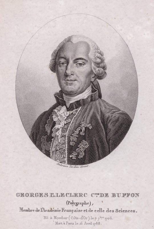 Georges-Louis Leclerc, Comte de Buffon, fransk videnskabsmand og forfatter (gravering) af French School