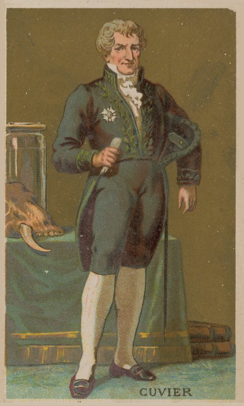 Georges Cuvier, fransk naturforsker og zoolog (1769-1832) af French School