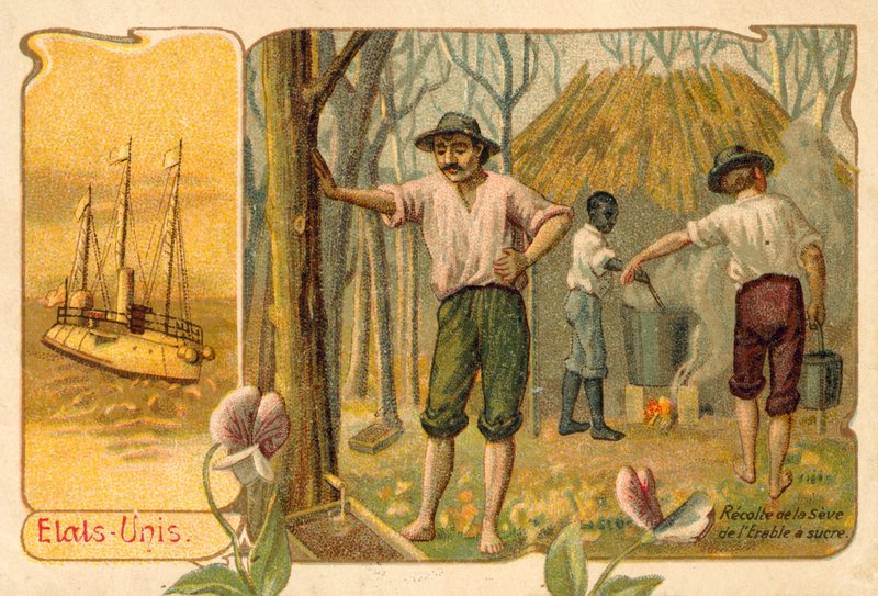 Høst ahornsaft for at lave ahornsirup, USA (chromolitho) af French School