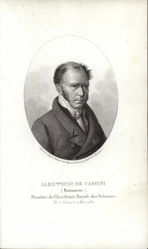 Henry Cassini af French School
