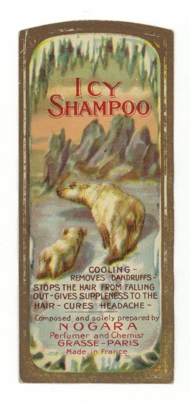 Icy shampoo-label, Nogara af French School