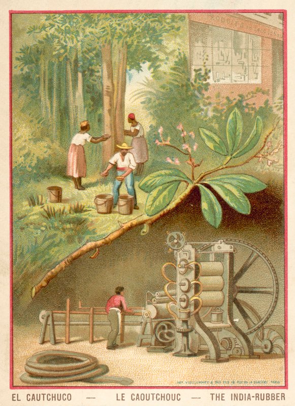 Indien gummi (chromolitho) af French School