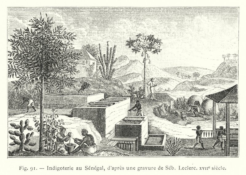 Indigoterie i Senegal, efter en gravering af Seb, Leclerc, 1600-tallet (gravering) af French School