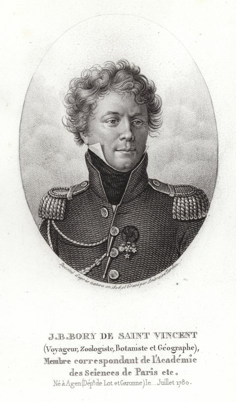 Jean-Baptiste Bory af Saint-Vincent af French School