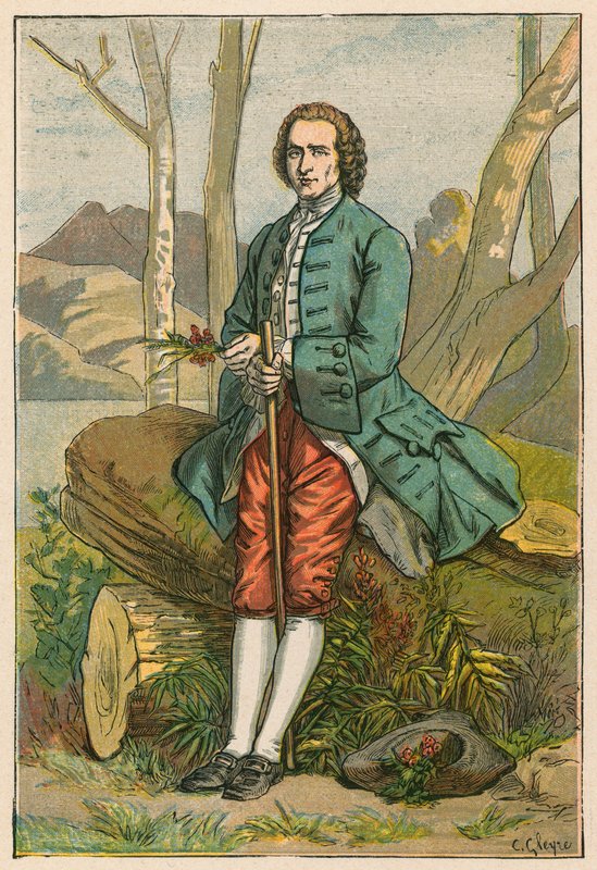 Jean-Jacques Rousseau af French School