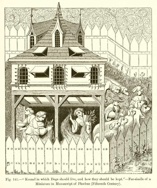 Kennel, hvor hunde skal leve, og hvordan de skal holdes af French School