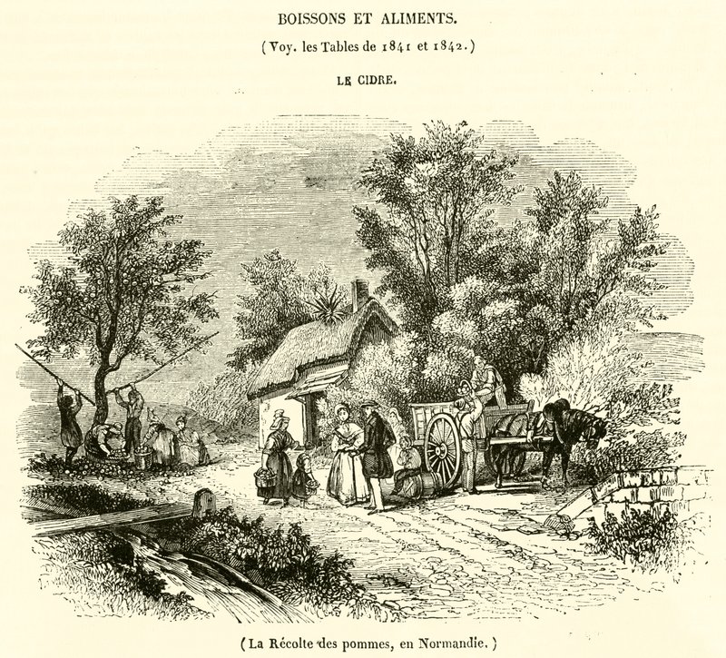 Høst æbler i Normandiet (gravering) af French School