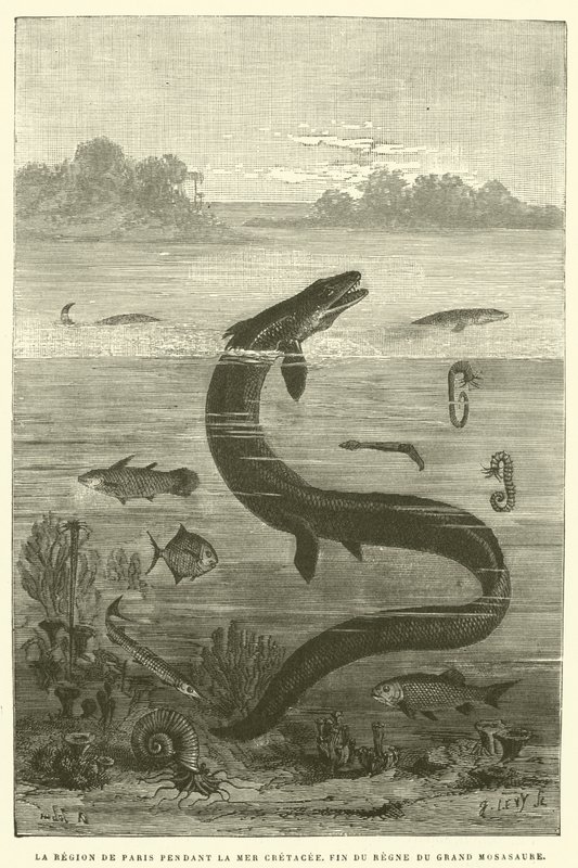 Regionen Paris under Kridthavet, slutningen af ​​den store mosasaurs regeringstid (gravering) af French School
