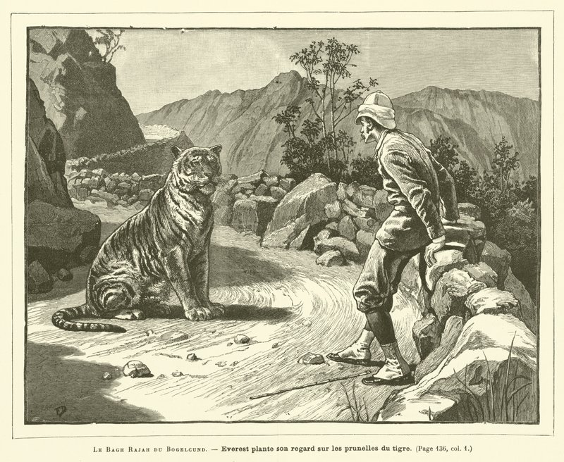 Le Bagh Rajah Du Bogelcund (gravering) af French School