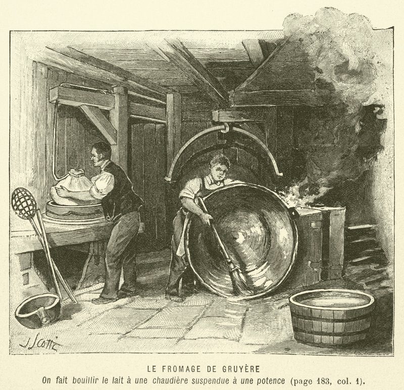 Gruyere ost (gravering) af French School