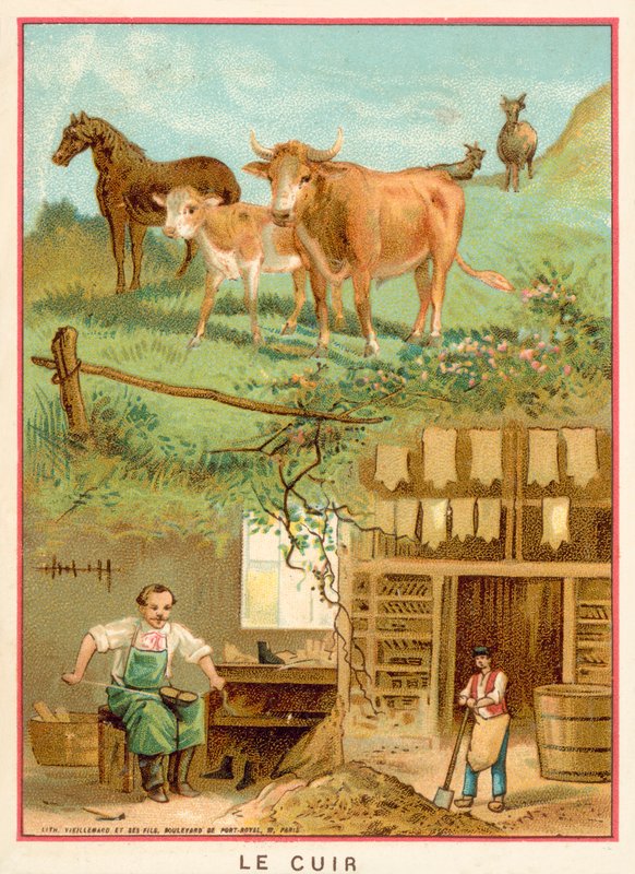 Læder (chromolitho) af French School