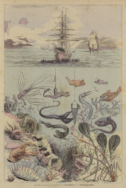 Les Explorations Sous-Marines Du Talisman Et Du Travailleur (farvelitografi) af French School