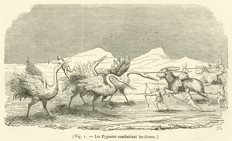 Pygmæerne, der kæmper mod tranerne (gravering) af French School