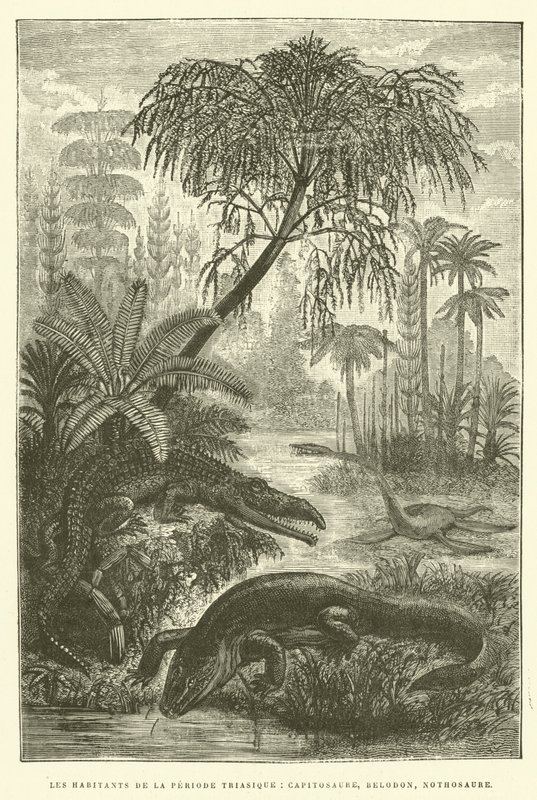 Indbyggerne i triasperioden, capitosaurus, belodon, nothosaurus (gravering) af French School