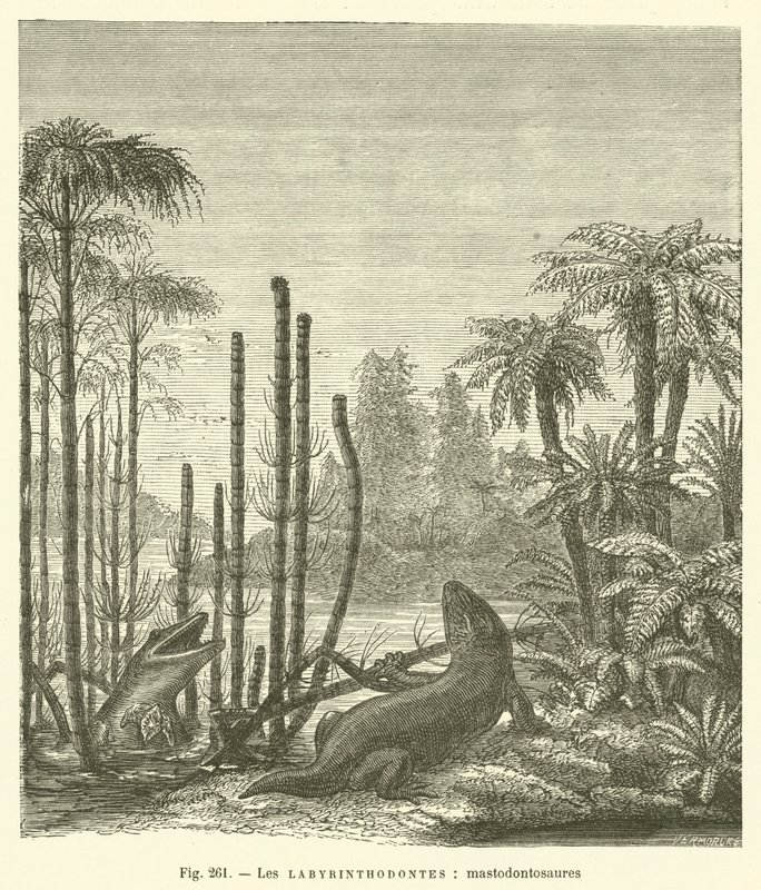 Les labyrinthodontes, mastodontosaures (gravering) af French School