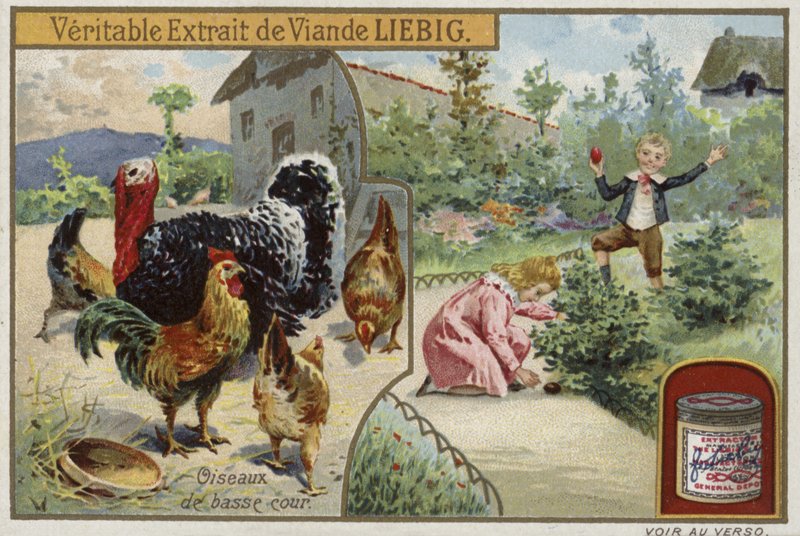 Liebig-kort med fjerkræ af French School