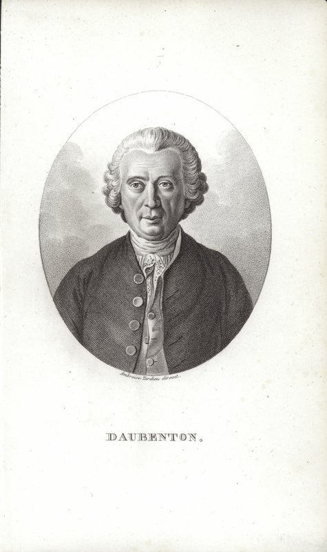 Louis-Jean-Marie Daubenton af French School