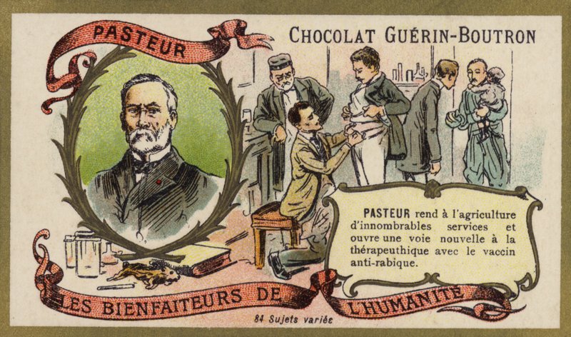 Louis Pasteur, fransk kemiker og mikrobiolog (chromolitho) af French School
