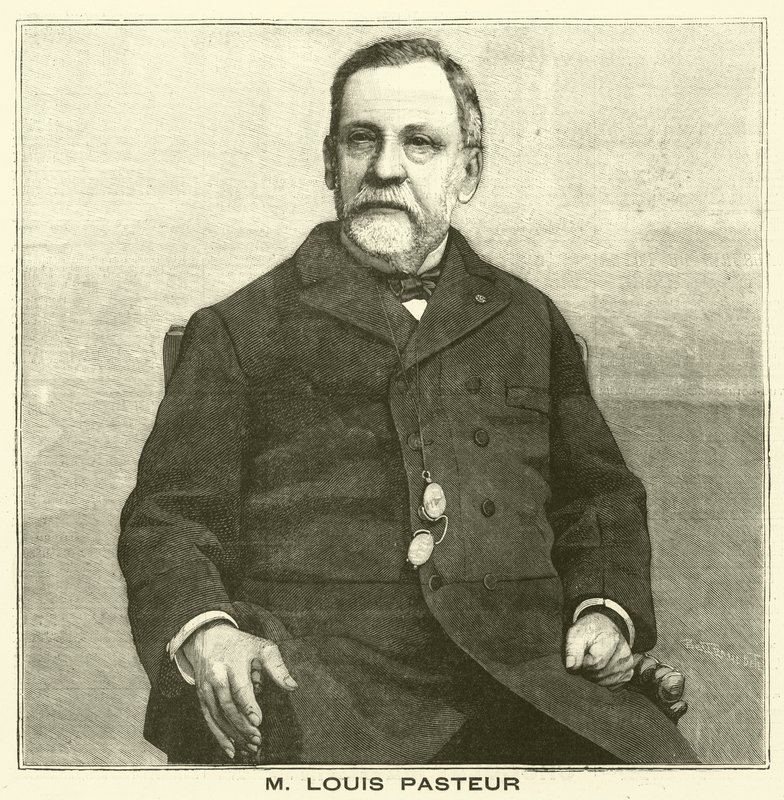 Louis Pasteur, fransk mikrobiolog (gravering) af French School