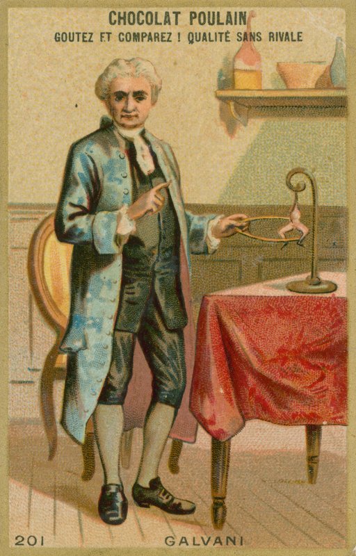 Luigi Galvani af French School