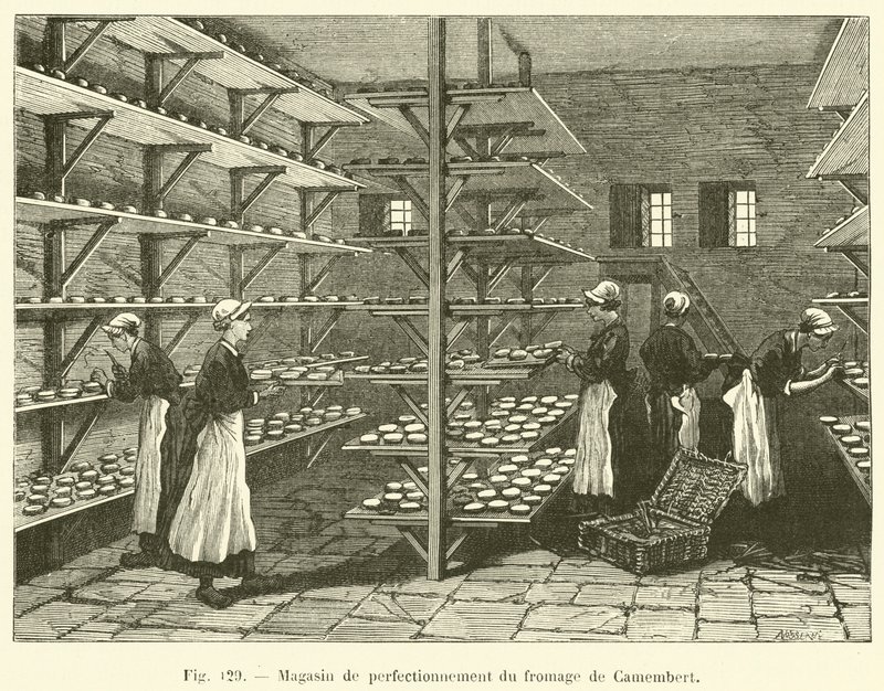 Camembert ostforbedringsbutik (gravering) af French School