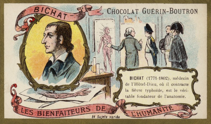 Marie Francois Xavier Bichat, fransk fysiolog og anatom (chromolitho) af French School