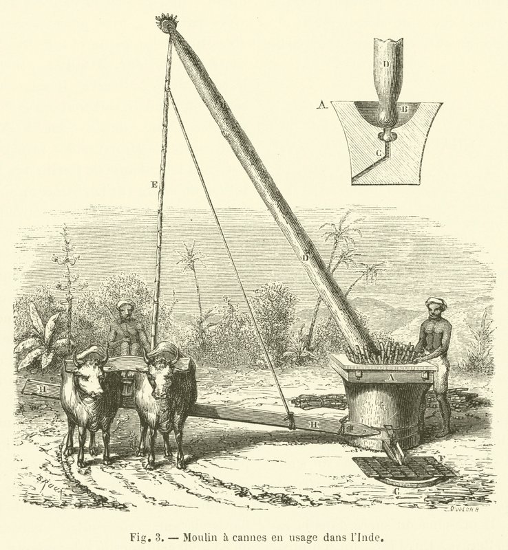 Rørrørsmølle i brug i Indien (gravering) af French School