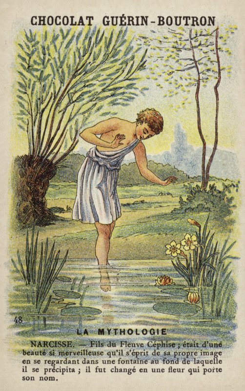 Narcissus af French School