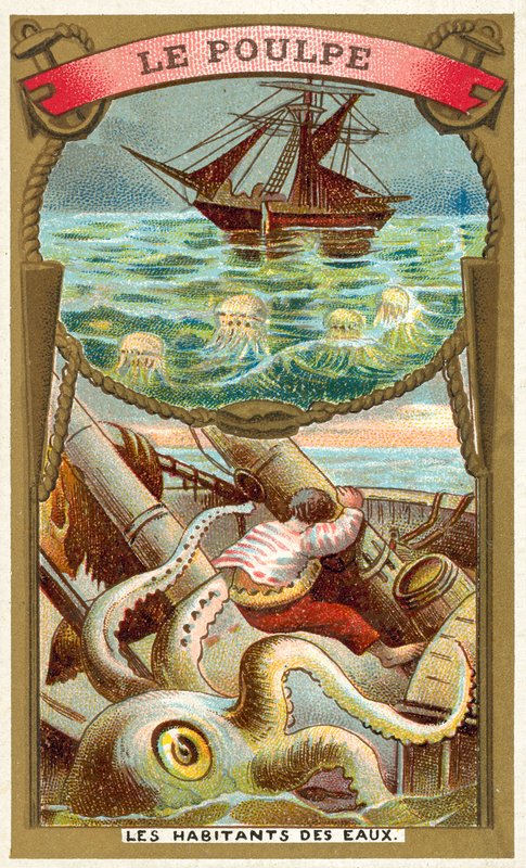 blæksprutte (chromolitho) af French School