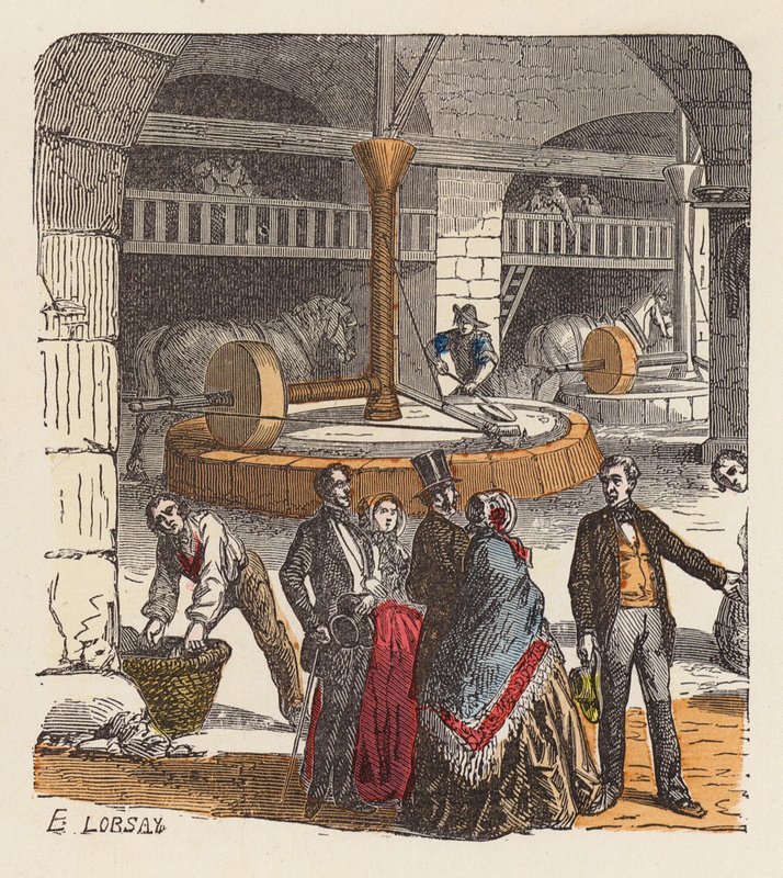 Olivenolieproduktion (farvet gravering) af French School