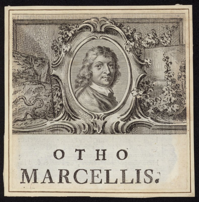 Otto Marseus van Schrieck af French School