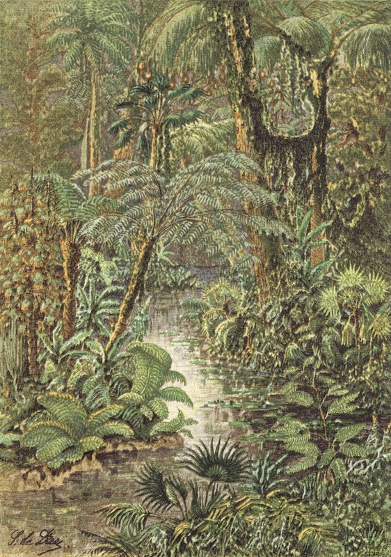 Antediluviansk landskab, en skov fra den karboniske periode (farvelitografi) af French School
