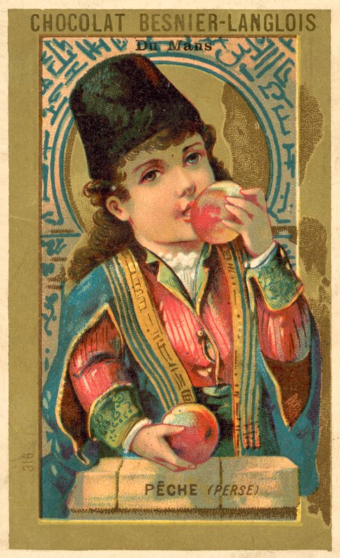 Ferskner fra Persien (chromolitho) af French School