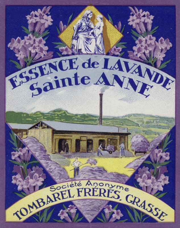 Parfumemærke, Essence of Lavender af French School