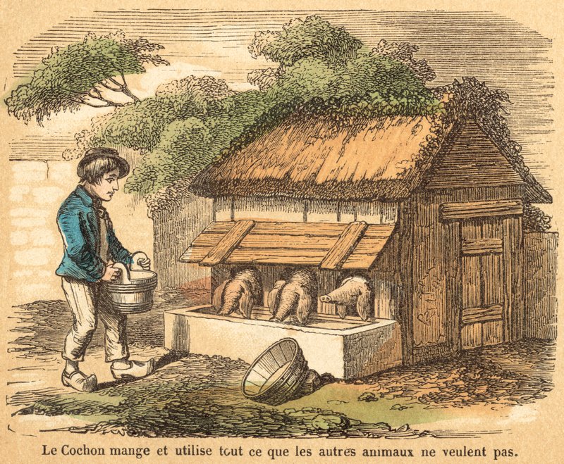 Gris (farvet gravering) af French School