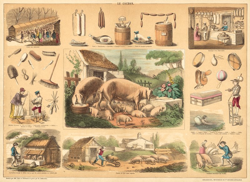 Gris (farvet gravering) af French School
