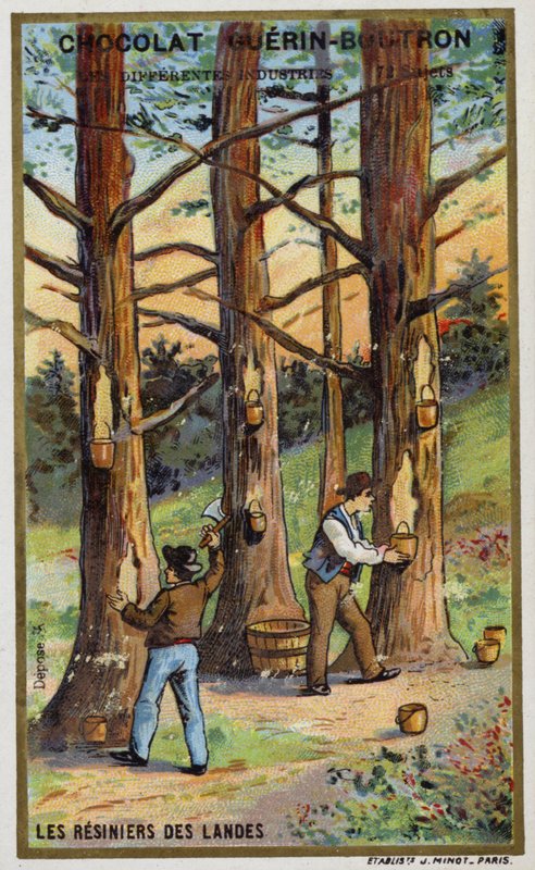 Harpikssamlere af fyrretræer i Landes, Frankrig (chromolitho) af French School