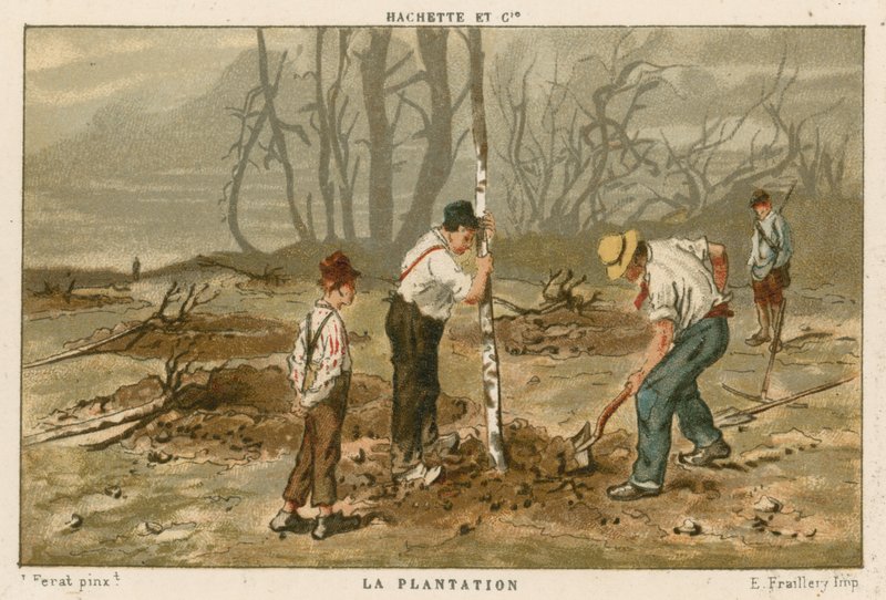 Plantning af træer af French School