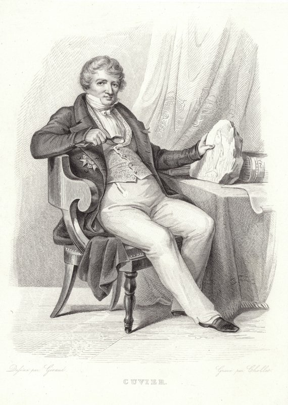 Portræt af George Cuvier af French School