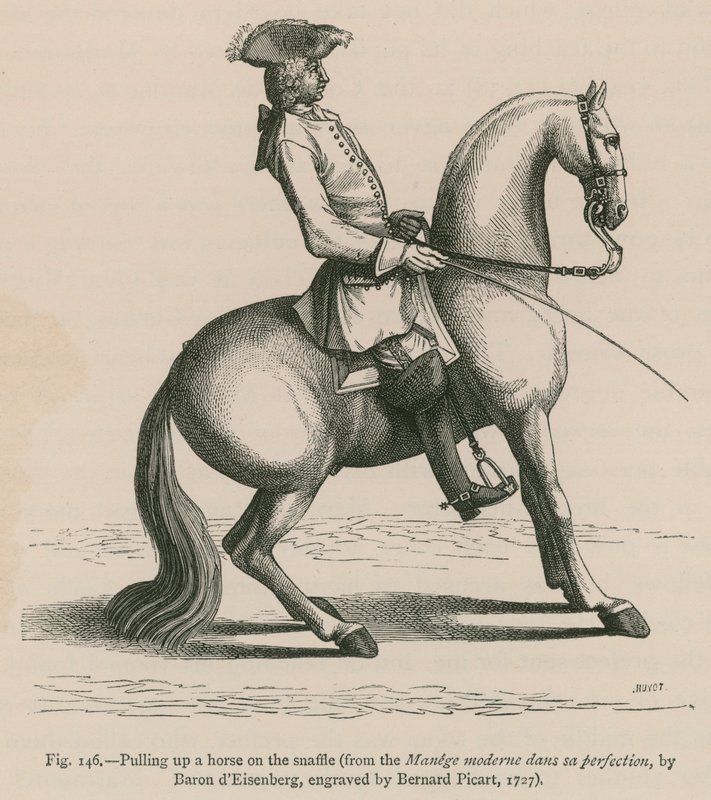 Pulling up a Horse on Snaffle (fra Manege moderne dans sa perfection, af Baron dEisenberg, graveret af Bernard Picart, 1727) af French School