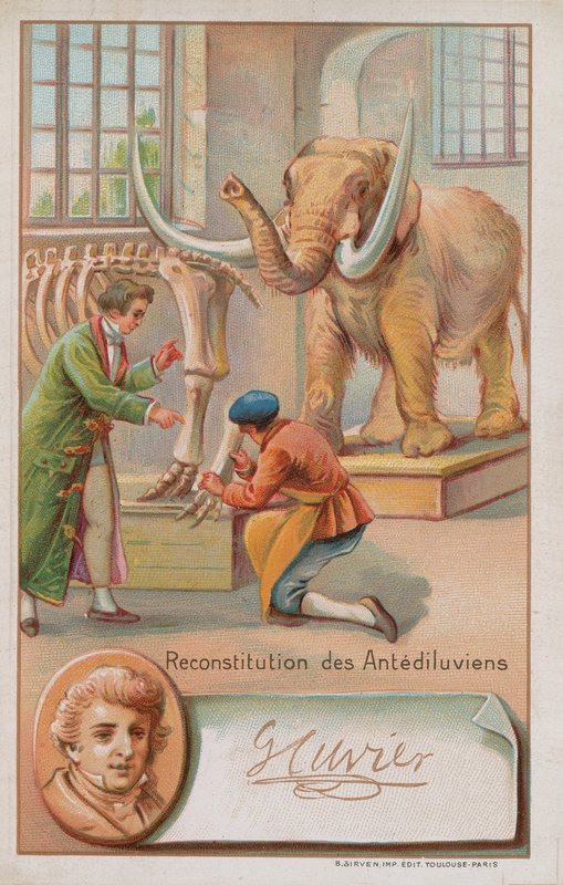 Rekonstruktion af den antidiluvianske periode af Georges Cuvier, fransk naturforsker og zoolog (1769-1832). af French School