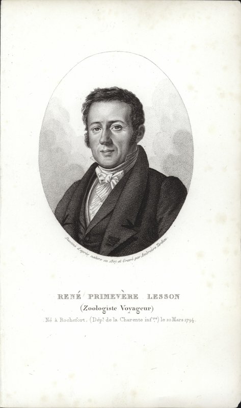 René Primevère Lektion af French School
