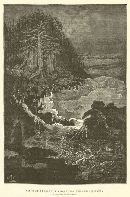 Scene fra triasperioden (konkyliansk periode) (gravering) af French School