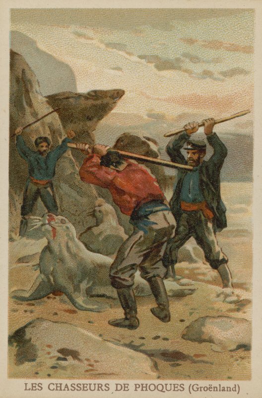 Sæljægere (Grønland) af French School